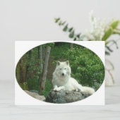 Invitation au loup arctique (Debout devant)