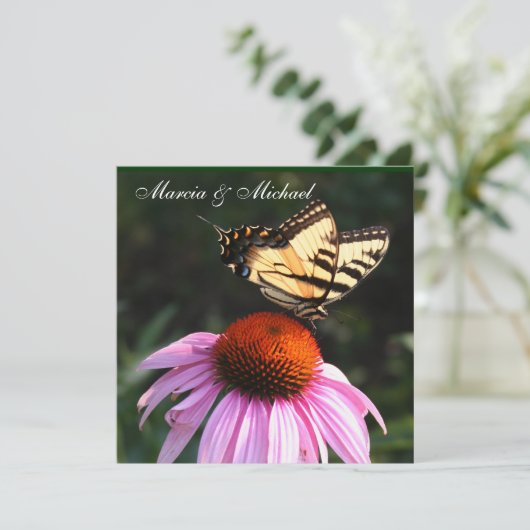 Invitation au papillon à queue jaune (Debout devant)