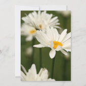 Invitation au Rose club de déjeuner du jardin (Dos)