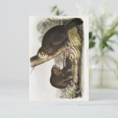 Invitation Audubon American Beaver Portrait (Debout devant)