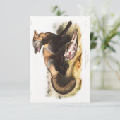 Invitation Audubon American Cross-Fox Portrait (Debout devant)