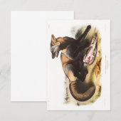 Invitation Audubon American Cross-Fox Portrait (Devant / Derrière)