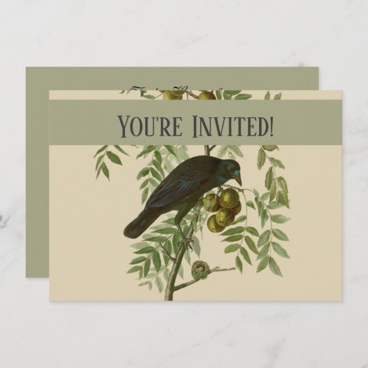 Invitation Audubon American Crow Black Bird (Devant / Derrière)