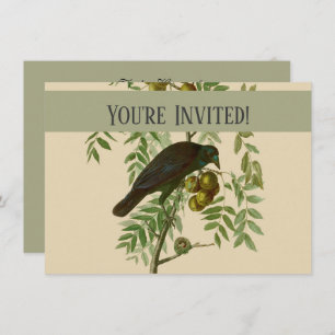 Invitation Audubon American Crow Black Bird
