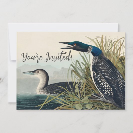 Invitation Audubon Bird Loon Diver Classic (Devant)