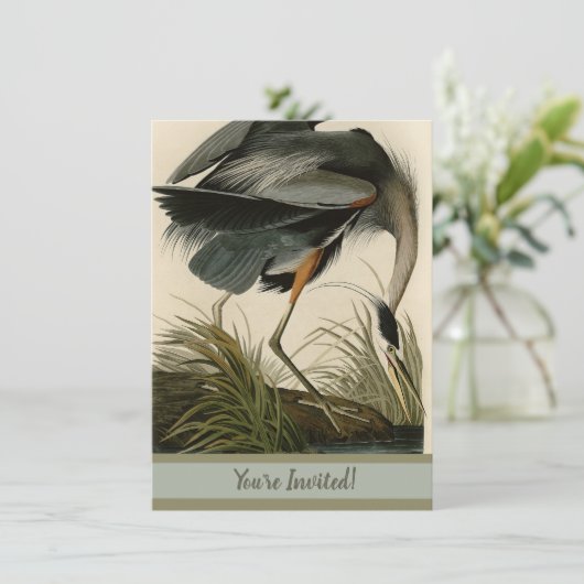 Invitation Audubon Great Blue Heron Marsh Bird (Debout devant)