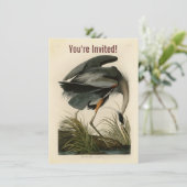 Invitation Audubon Great Blue Heron Marsh Bird (Debout devant)