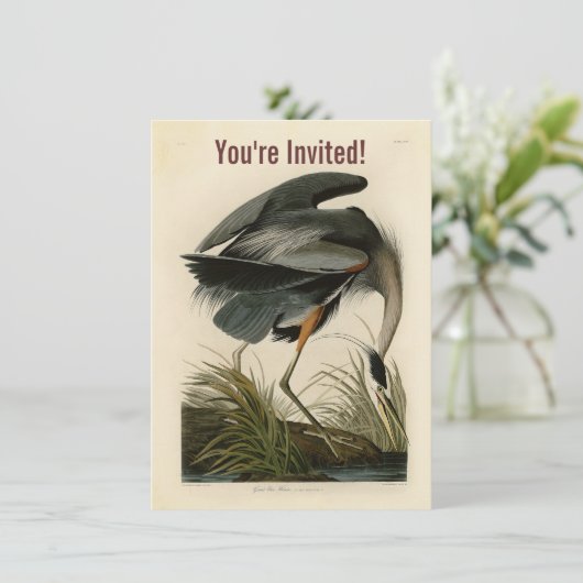 Invitation Audubon Great Blue Heron Marsh Bird (Debout devant)