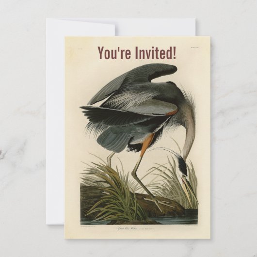Invitation Audubon Great Blue Heron Marsh Bird (Devant)