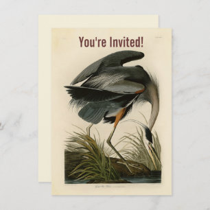 Invitation Audubon Great Blue Heron Marsh Bird