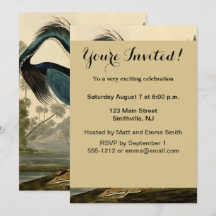 Invitation Audubon Héron de Louisiane Oiseaux Amérique Art