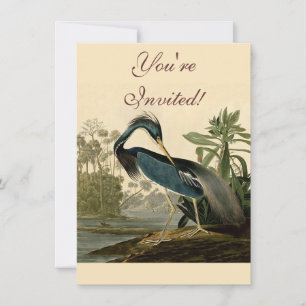 Invitation Audubon Héron de Louisiane Oiseaux Amérique Art