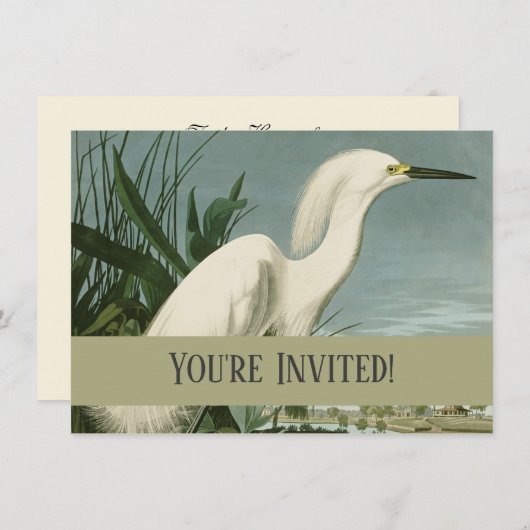 Invitation Audubon Héron de neige Oiseaux d'aigrettes blanche (Devant / Derrière)
