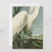 Invitation Audubon Héron de neige Oiseaux d'aigrettes blanche (Dos)