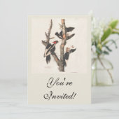 Invitation Audubon Ivory-Billed (Debout devant)