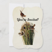Invitation Audubon Marsh Wren Bird Art (Devant)