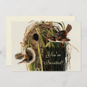 Invitation Audubon Marsh Wren Bird Art (Devant / Derrière)