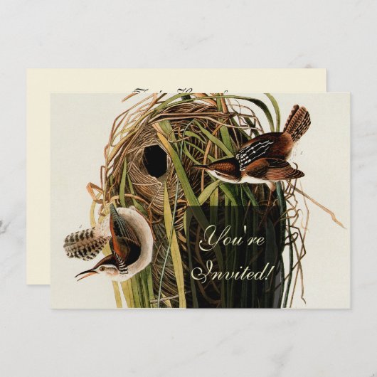 Invitation Audubon Marsh Wren Bird Art (Devant / Derrière)