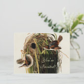 Invitation Audubon Marsh Wren Bird Art (Debout devant)