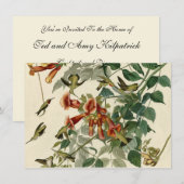 Invitation Audubon Throsé de colibri (Devant / Derrière)