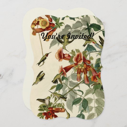 Invitation Audubon Throsé de colibri (Devant / Derrière)