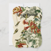 Invitation Audubon Throsé de colibri (Devant)