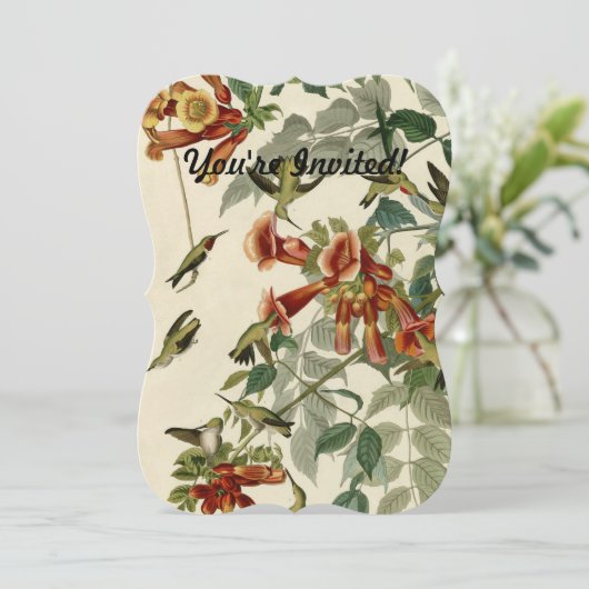 Invitation Audubon Throsé de colibri (Debout devant)