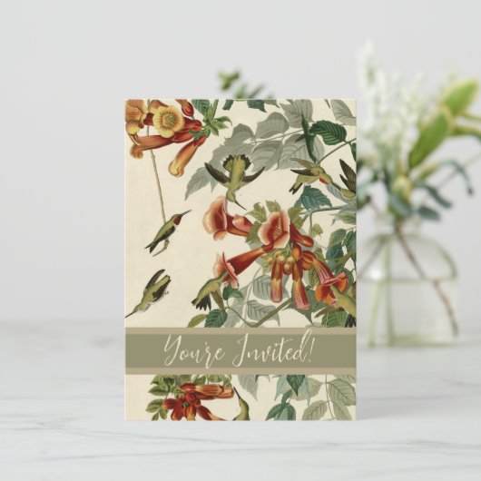 Invitation Audubon Throsé de colibri (Debout devant)