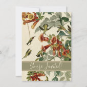 Invitation Audubon Throsé de colibri (Devant)