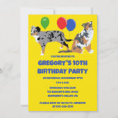 Invitation Aussies Australian Shepherd'anniversaire (Devant)