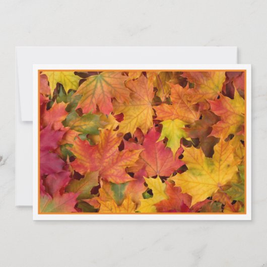 Invitation Automne Feuilles Photo Mariage Enregistrer La Date (Dos)