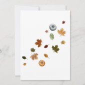 Invitation Automne Petit Baby shower Citrouille Par Courrier (Dos)