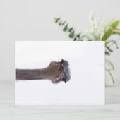 Invitation autruche (Debout devant)