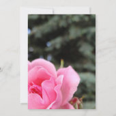 Invitation aux fleurs de rose (Dos)