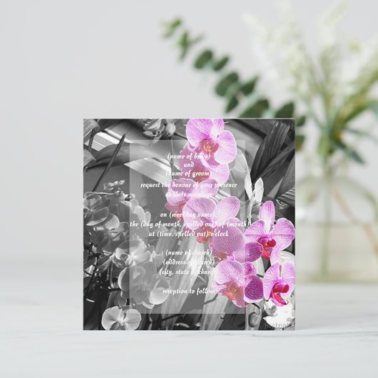invitation aux orchidées (Debout devant)