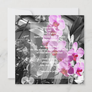 invitation aux orchidées