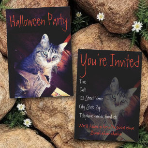 Invitation avec photographie de chat lumineux en g
