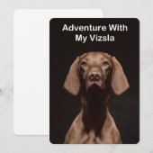 Invitation Aventure avec mon Vizsla (Devant / Derrière)