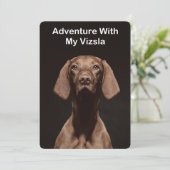 Invitation Aventure avec mon Vizsla (Debout devant)
