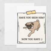 Invitation Avez-Vous Vu Le Chien Maintenant Vous Avez Un Anim (Devant / Derrière)