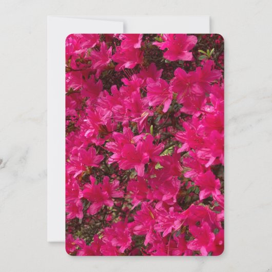 Invitation Azalée  (Dos)