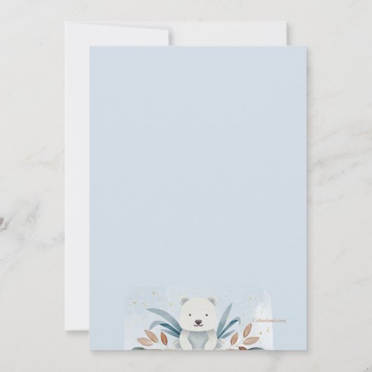 Invitation Baby Boy Meet and Greet (Dos)