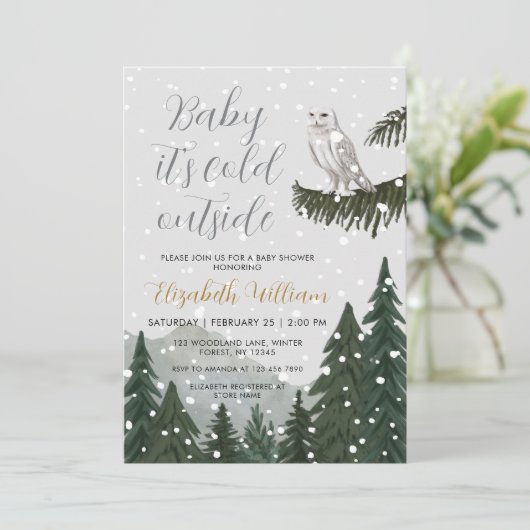Invitation Baby It’s Cold Outside Snowy Owl Baby Shower (Debout devant)