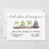 Invitation Baby Owl Birthday (Devant)