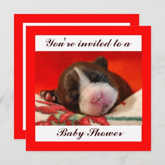 Invitation Baby shower (Devant / Derrière)