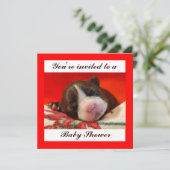 Invitation Baby shower (Debout devant)