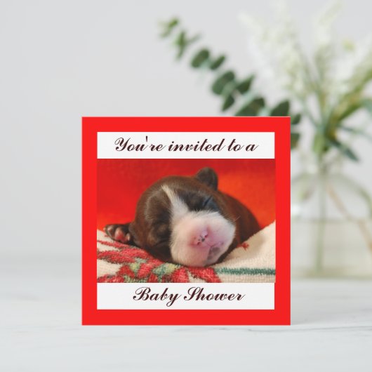 Invitation Baby shower (Debout devant)