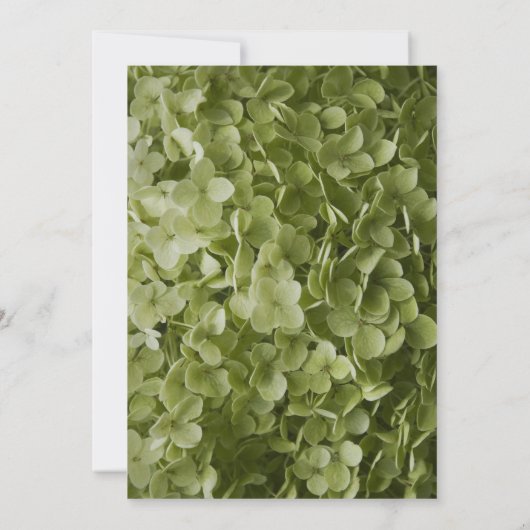 Invitation Baby shower à fleurs vert Annabelle Hydrangea (Dos)