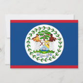 Invitation baby shower avec drapeau du Belize (Dos)