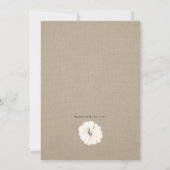 Invitation Baby shower Citrouille petit Citrouille et blanc (Dos)